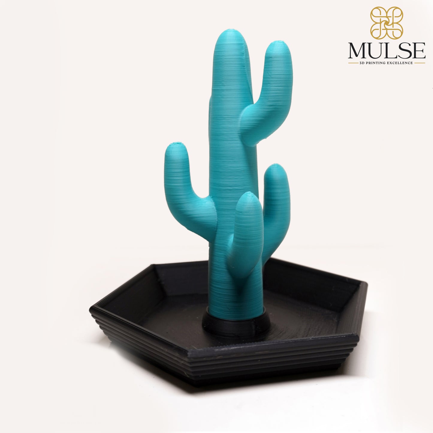Cactus Ring Holder