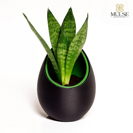 Nest Planter | Home Office Decor
