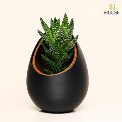 Nest Planter | Home Office Decor